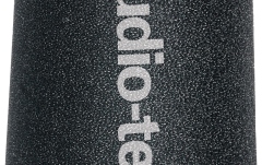 Microfon condenser de tip shotgun cu montare pe camera de filmat Audio-Technica AT8024