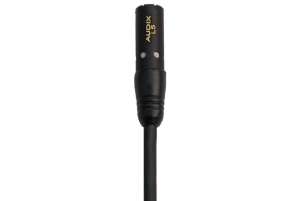 L5