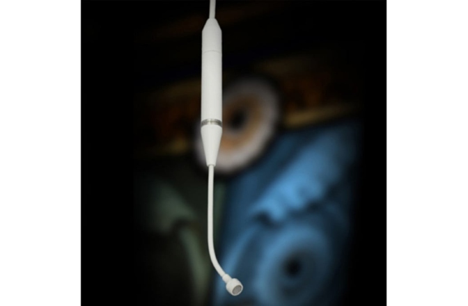 Microfon teatru / cor Earthworks C30/C-W