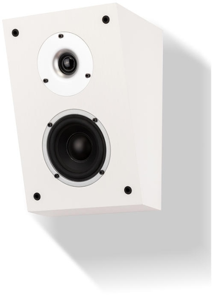 Wilson RAPTOR X WHITE