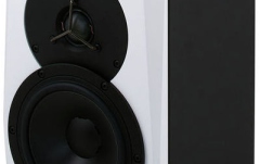 Monitor activ de studio Dynaudio LYD-5