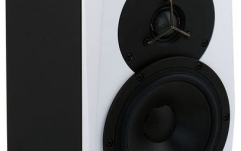 Monitor activ de studio Dynaudio LYD-5