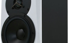 Monitor activ de studio Dynaudio LYD-5