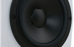 Monitor activ de studio Dynaudio LYD-5