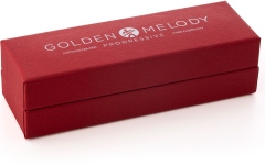 Muzicuță diatonică  Hohner Golden Melody Ab