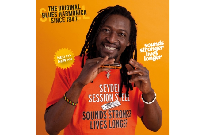 Muzicuță în Re minor armonic Seydel SESSION STEEL - Harmonic Minor D