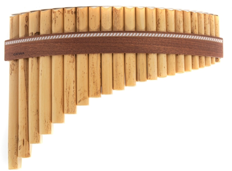 Gewa Premium 22 G-major