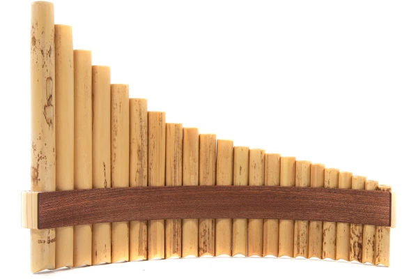 Gewa Premium 22 G-major