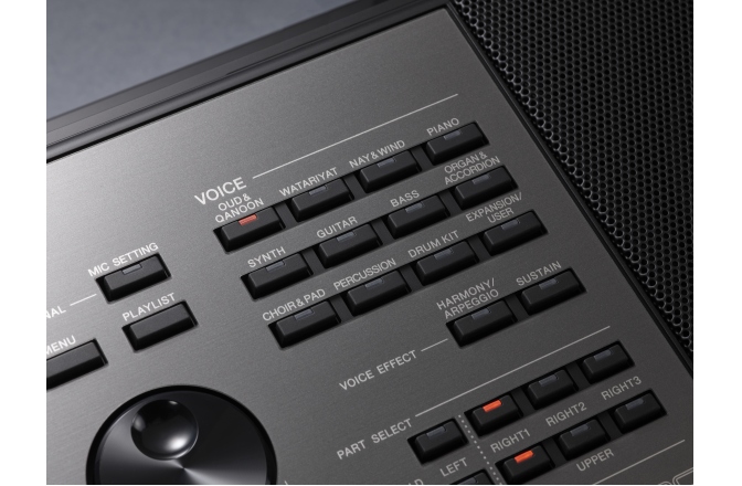 Orgă Digitală Yamaha PSR-A5000