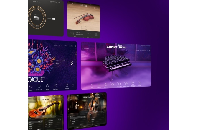 Pachet de instrumente virtuale  Native Instruments Komplete 15 Collector's Edition Update