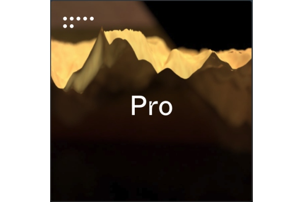 Pro Bundle Effect Plug-In-Bundle (Download)