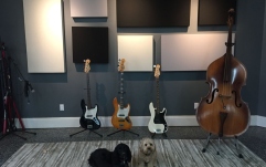 Panou de absorbție GIK Acoustics 242 Acoustic Panel Narrow 4Box Merrick EJ048