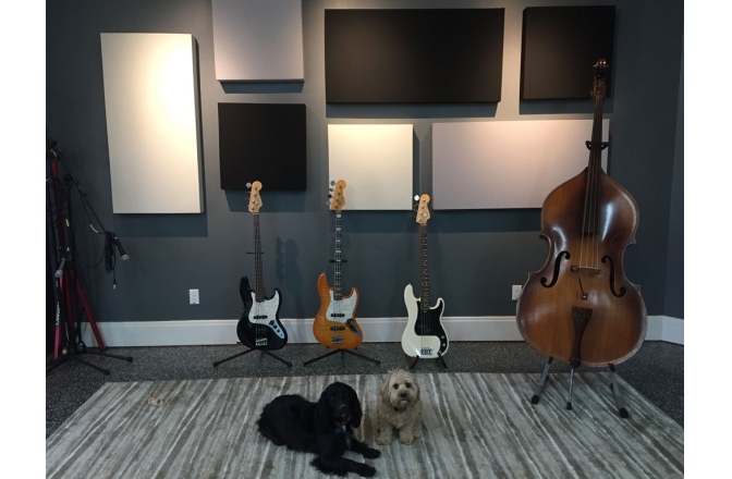 Panou de absorbție GIK Acoustics 242 Acoustic Panel Narrow 4Box Merrick EJ048