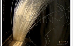 Păr arcuș Gewa Par arcusi violoncel Mustang  450924