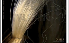 Par natural arcus Gewa Mustang Cello