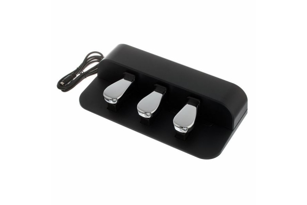 SP-34 Sustain Pedal