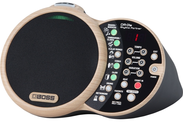 Boss DR-01s