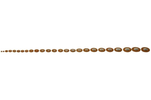 Pisoni Periniță pentru saxofon  42,5 mm