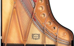 Pian acustic de nivel avansat Yamaha C5X PE