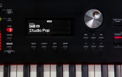 Pian digital de scenă Roland RD-2000 EX