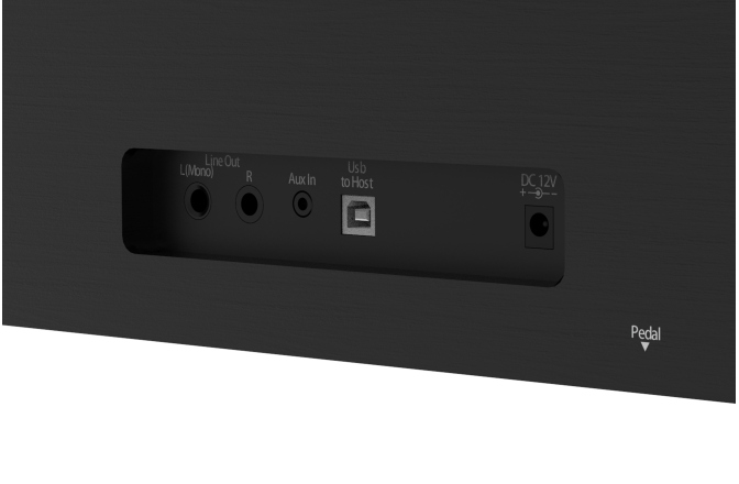 Pian digital Orla CDP-2 Rosewood