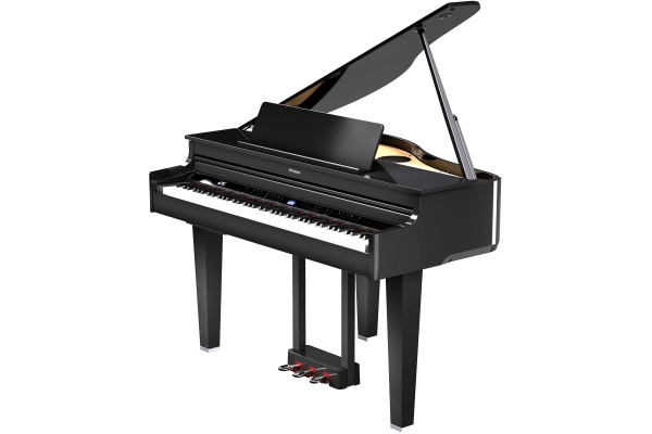 Roland GP-6 PE