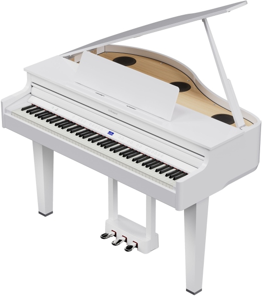 Roland GP-6 PW