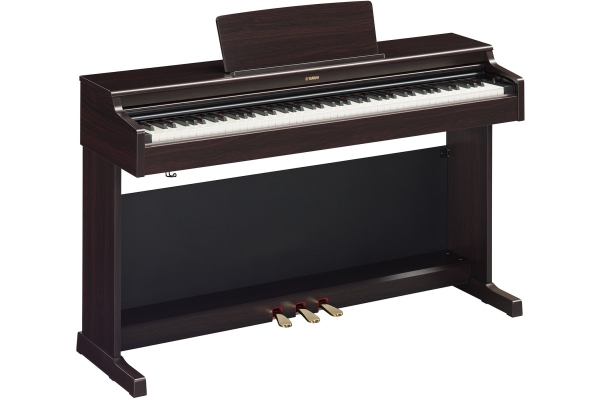 YDP-165 Arius Rosewood