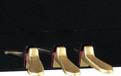 Pianina profesionala Yamaha YUS5 PE