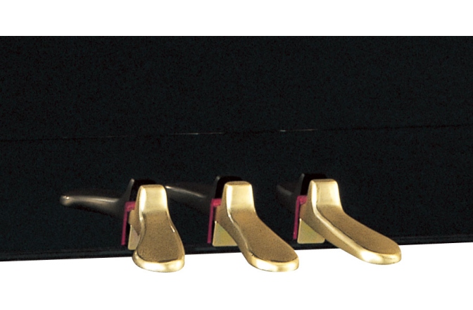 Pianina profesionala Yamaha YUS5 PE