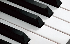 Pianina profesionala Yamaha YUS5 PE