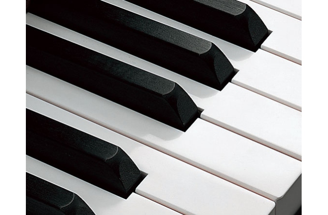 Pianina profesionala Yamaha YUS5 PE