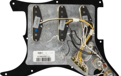 Pickguard  Fender Pre-Wired Strat Pickguard Custom Shop Texas Special SSS Black 11 Hole PG