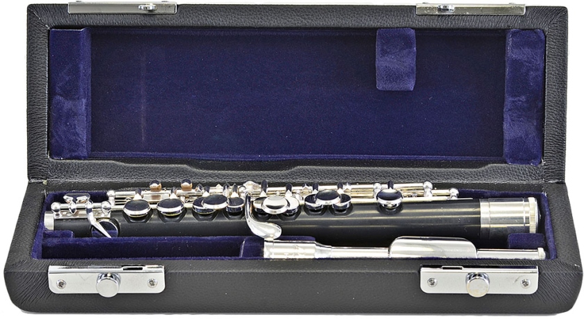 Lucien PI-300S