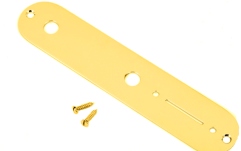 Placă de Control pentru Telecaster Fender Vintage Telecaster Control Plate 2-Hole (Gold)