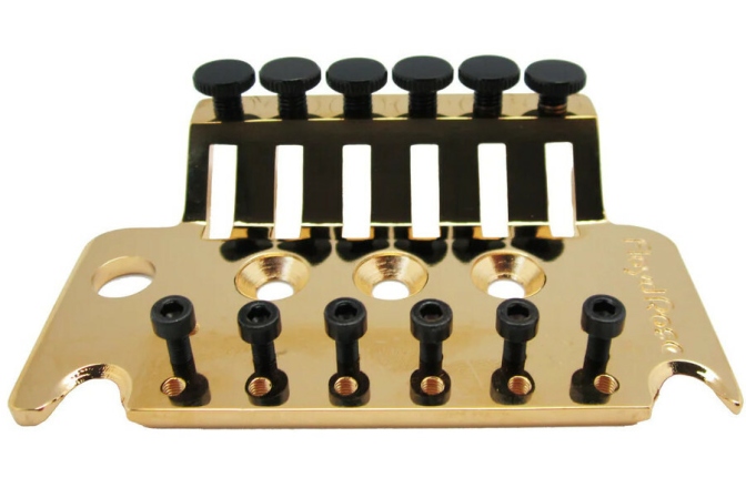 Placă de montaj Floyd Rose Floyd Rose  FR1TBPG - 1000 Series Tremolo 6-String Base Plate - Gold