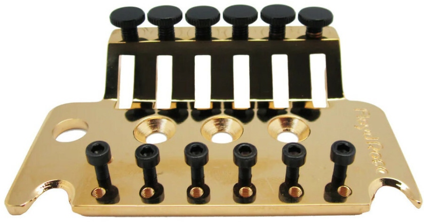 Floyd Rose FR1TBPG - 1000 Series Tremolo 6-String Base Plate - Gold