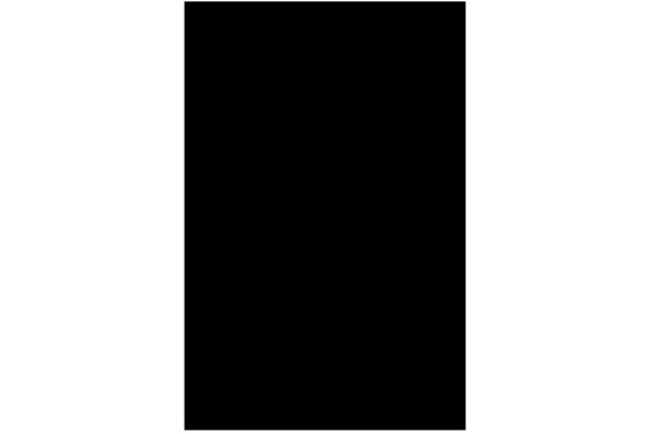 Pickguard placa plastic negru, 3 straturi Pickguard placa plastic negru, 3 straturi