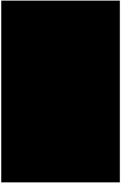 Partsland Pickguard placa plastic negru, 3 straturi