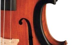 Protecție arcuș Gewa Protectie arcusi C