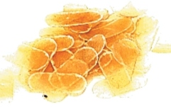 Protecție bridge vioară Gewa Protectie bridge vioara