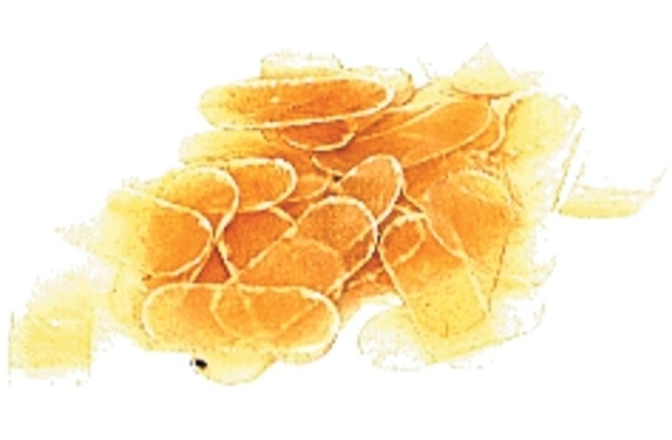 Protecție bridge vioară Gewa Protectie bridge vioara