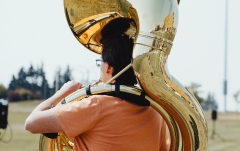 Protector pentru Sousaphon Neotech Protector pentru  Sousaphon