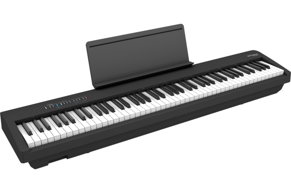 FP-30X BK