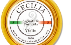Sacâz vioară Cecilia Violin Signature Formula Small
