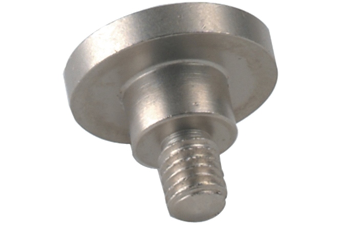 Saiba  Gewa Saiba Parte inferioara 485.025