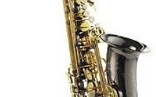 Saxofon Alto Parrot 6430 BN Alto Sax