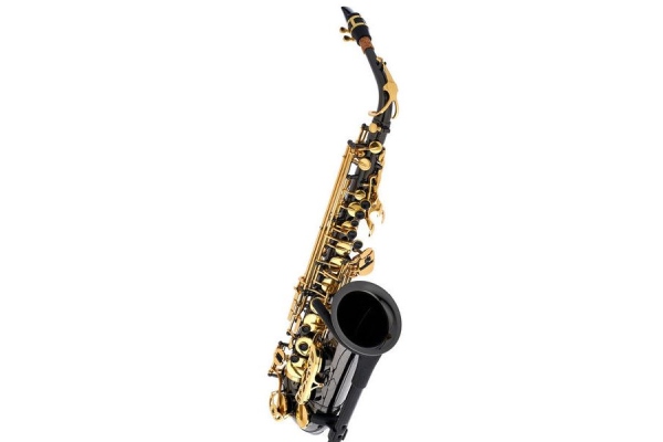  TAS-180 Black Alto Saxophone