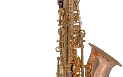 Saxofon Roy Benson Eb-Alt Roy Benson AS202G 