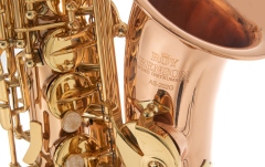 Saxofon Roy Benson Eb-Alt Roy Benson AS202G 